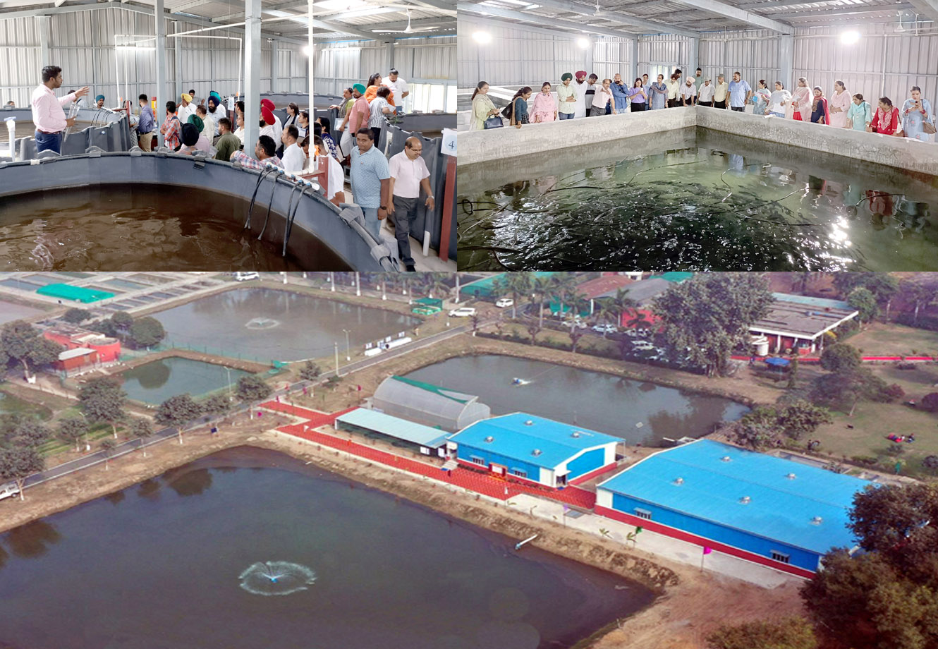 Vet Varsity Pioneering Capacity Building in Intensive Aquaculture Technologies in the Region